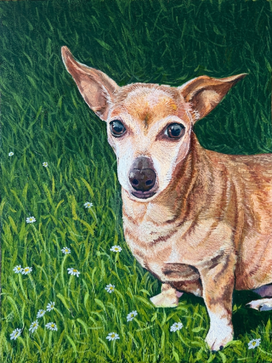 Acrylic portrait of a tan Chihuahua mix standing in green grass with white daisies, looking directly at the viewer