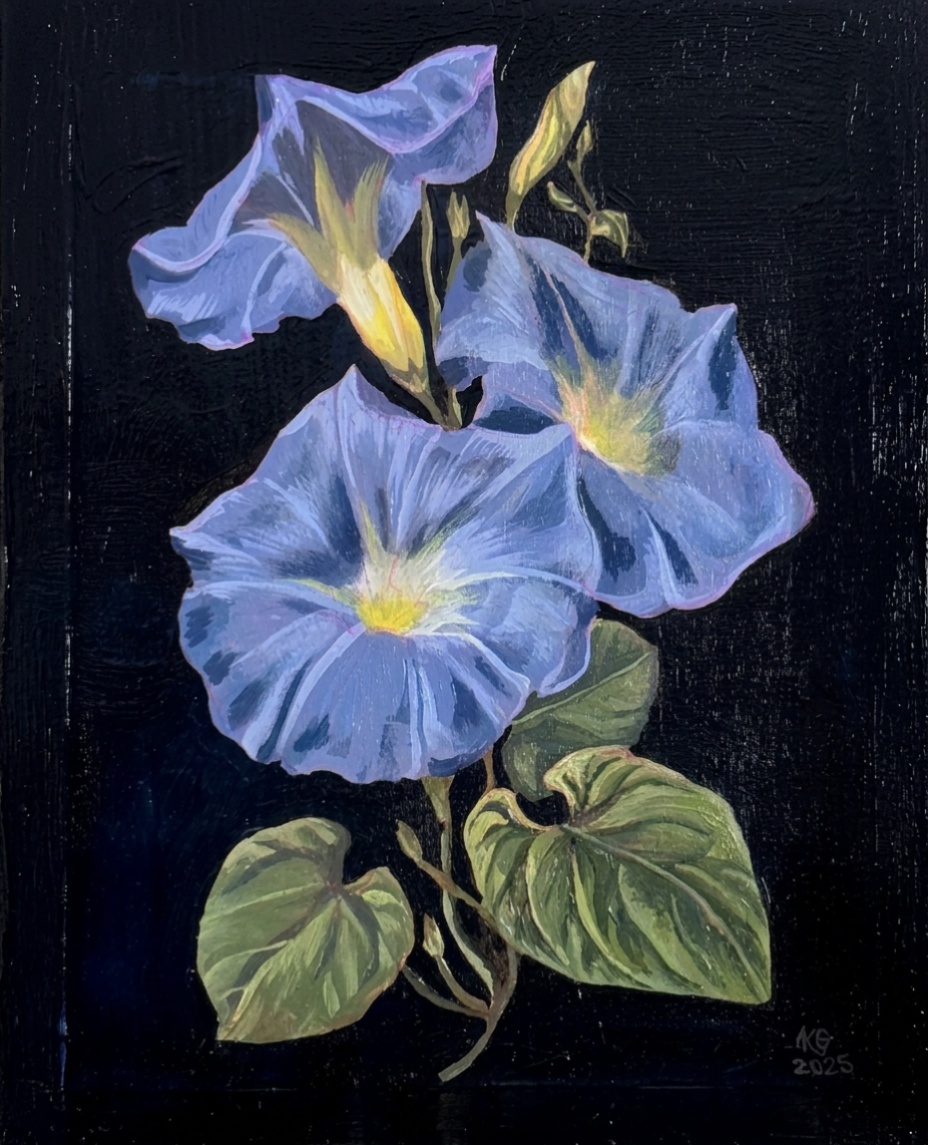 Acrylic painting of three lavender-blue morning glory flowers with yellow centers and green leaves on a black background