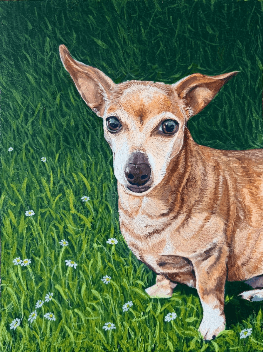 Acrylic portrait of a tan Chihuahua mix standing in green grass with white daisies, looking directly at the viewer
