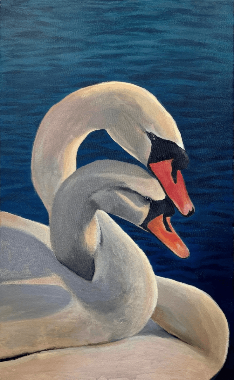 Acrylic painting of two white swans with intertwined necks against deep blue water