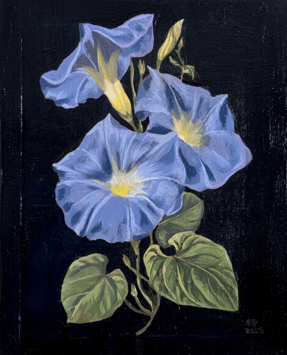 Acrylic painting of three lavender-blue morning glory flowers with yellow centers and green leaves on a black background